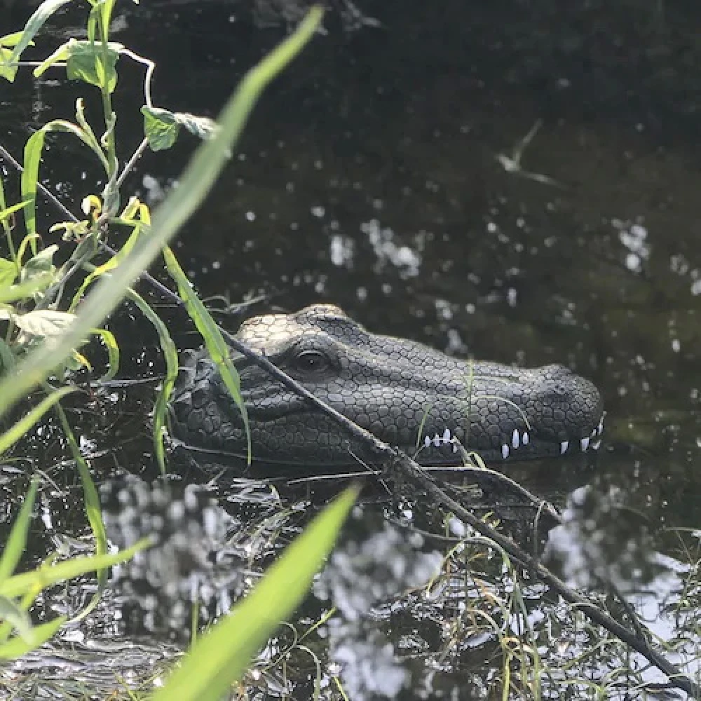 Barcă / Navomodel în formă de monstru crocodil, de mers pe apă cu telecomandă - Jucărie amuzantă pentru copii